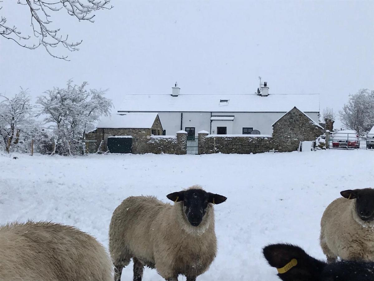 Mournes Family Cottage With Hot Tub Hilltown Buitenkant foto