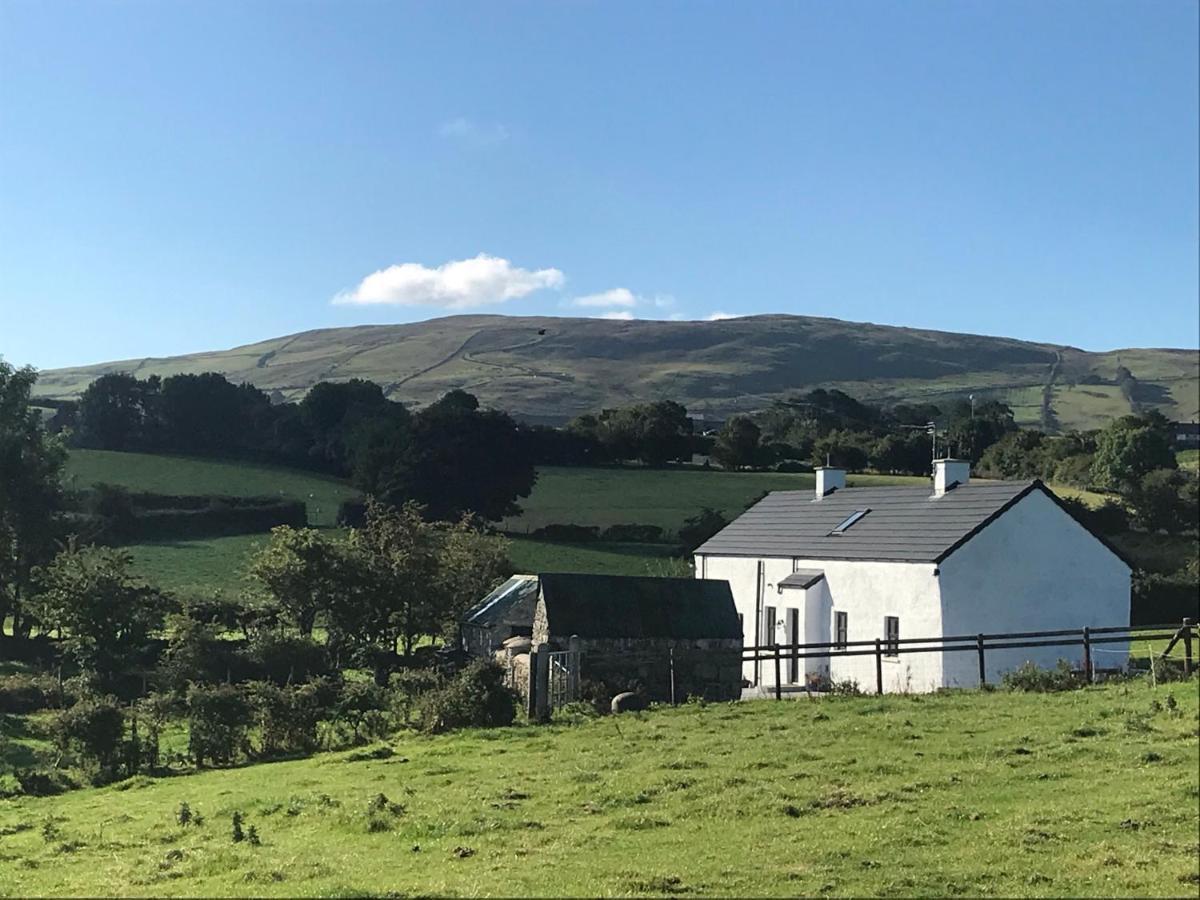 Mournes Family Cottage With Hot Tub Hilltown Buitenkant foto